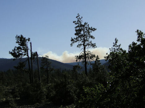 Buckskin Fire/Rough and Ready Creek, Josephine County,Oregon
